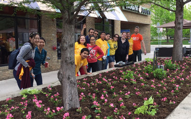 Ann Arbor Volunteering SmithGroup