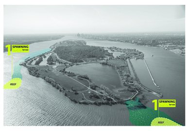 Belle Isle - Spawning