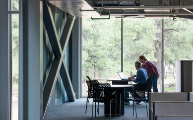 Northern Arizona Real Estate Holdings Building Interiors Office Design